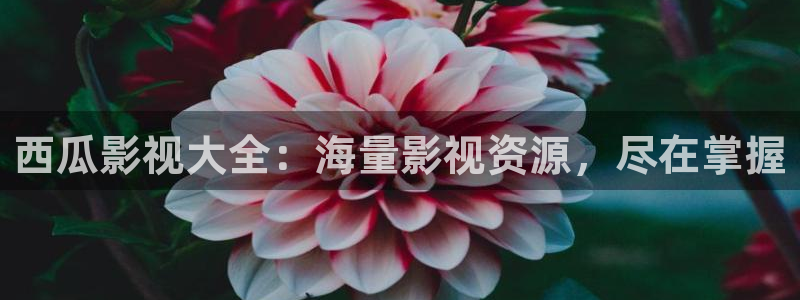 亚洲国产嫩草影院：西瓜影视大全：海量影视资源，尽在掌握