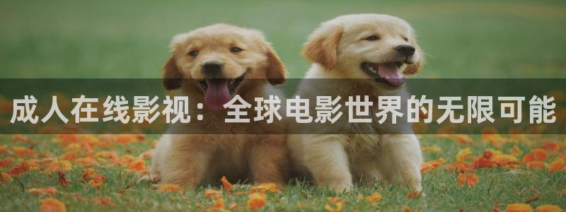 久久嫩草视频